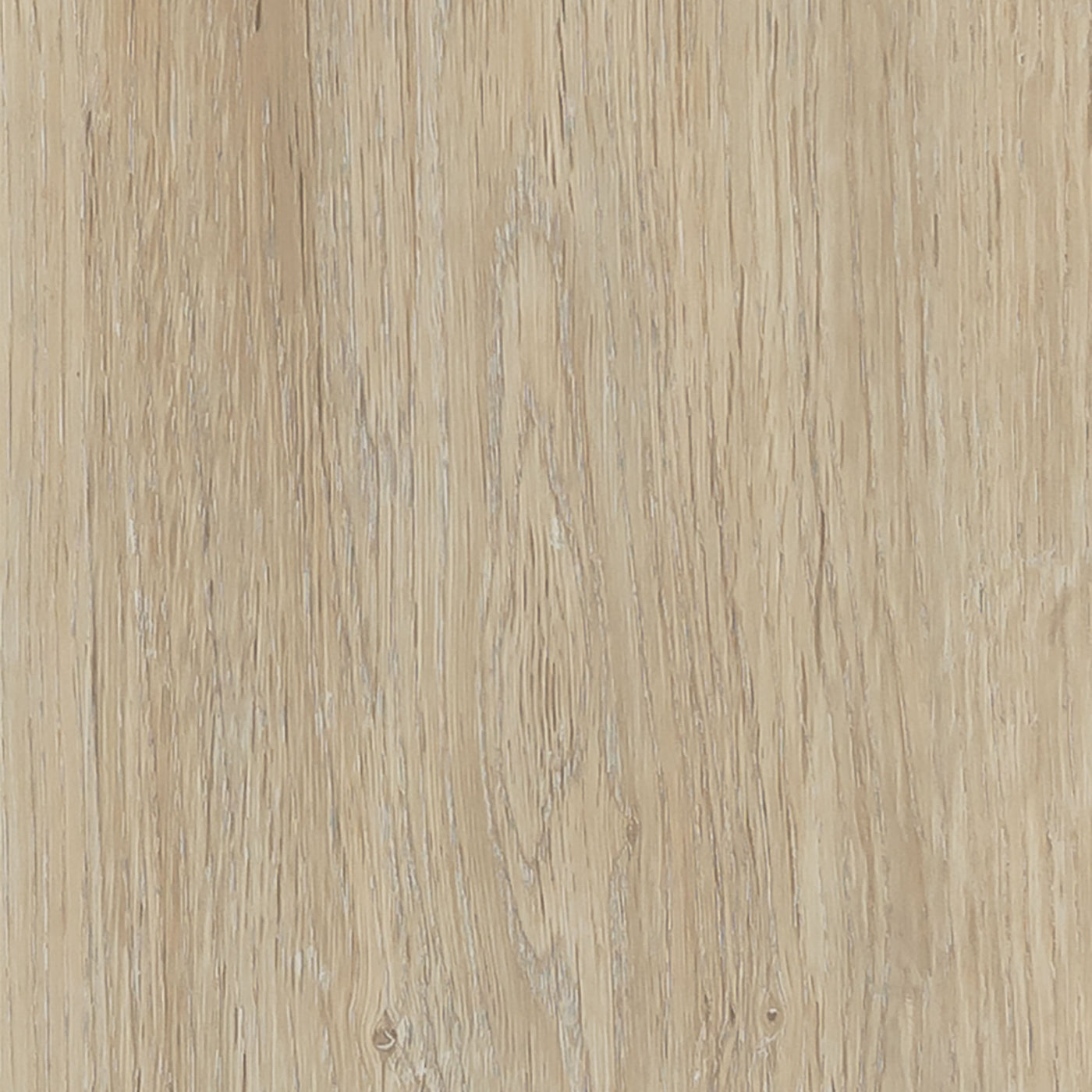 Cavalio Floors Conceptline 184.2mm x 1219.2mm Vinyl Plank