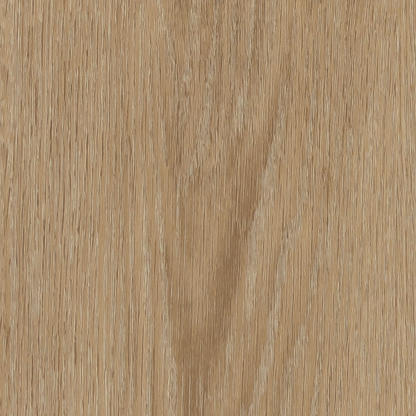 Cavalio Floors Conceptline 184.2mm x 1219.2mm Vinyl Plank