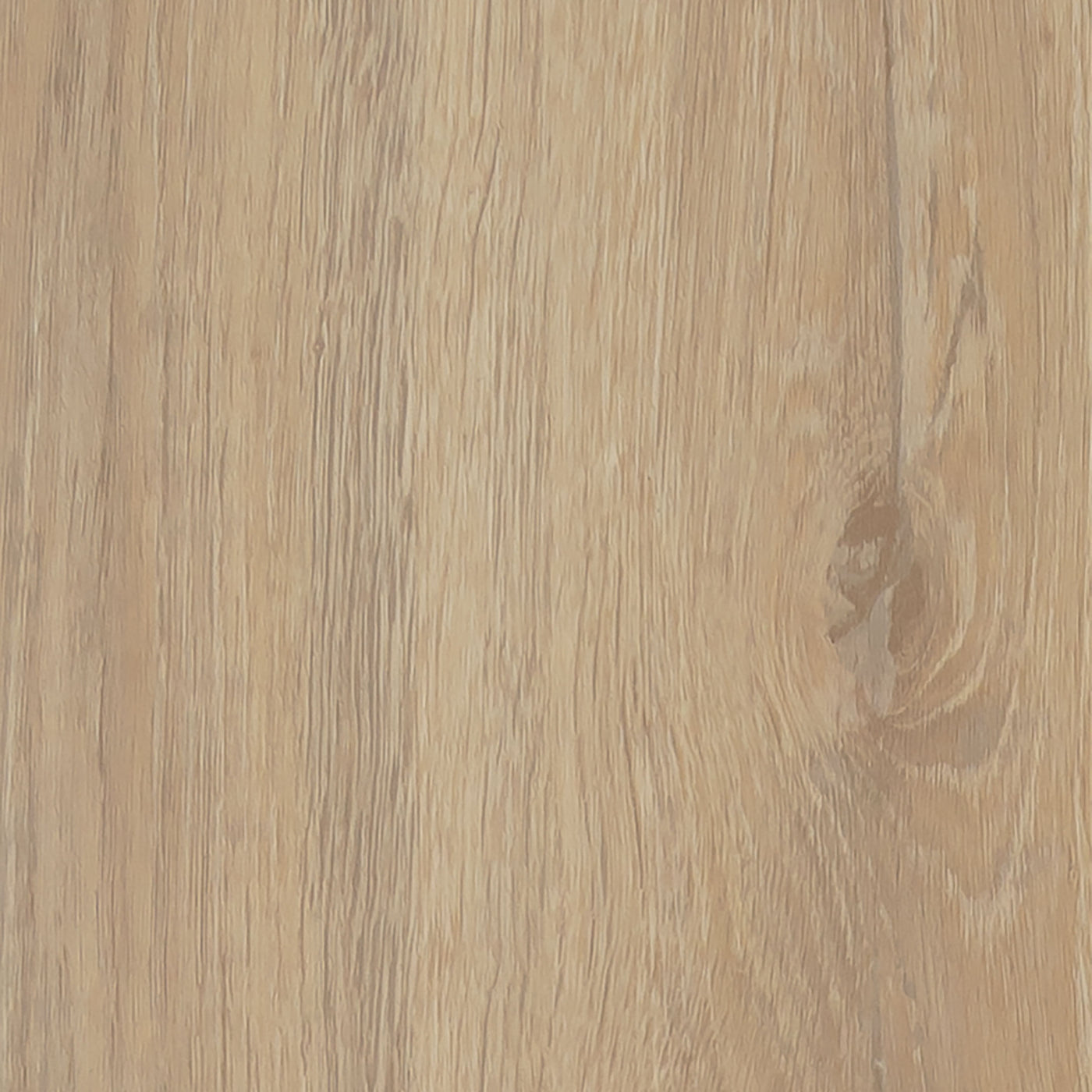 Cavalio Floors Conceptline 184.2mm x 1219.2mm Vinyl Plank