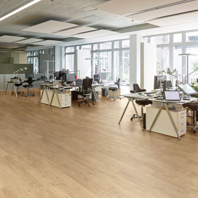 Polyflor Expona Encore 177mm x 1212mm Vinyl Plank