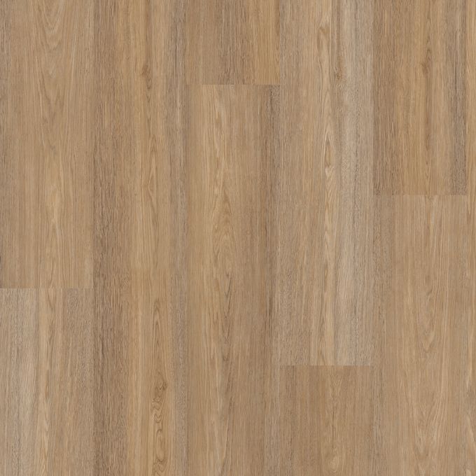 Polyflor Expona Encore 196mm x 1212mm Vinyl Plank