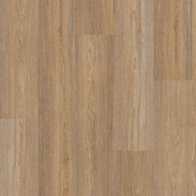 Polyflor Expona Encore 196mm x 1212mm Vinyl Plank