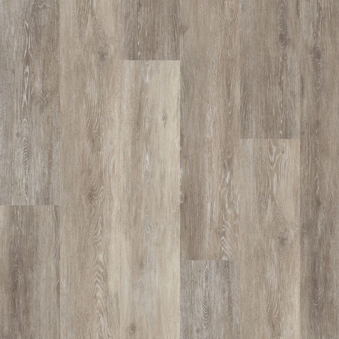 Polyflor Expona Encore 177mm x 1212mm Vinyl Plank