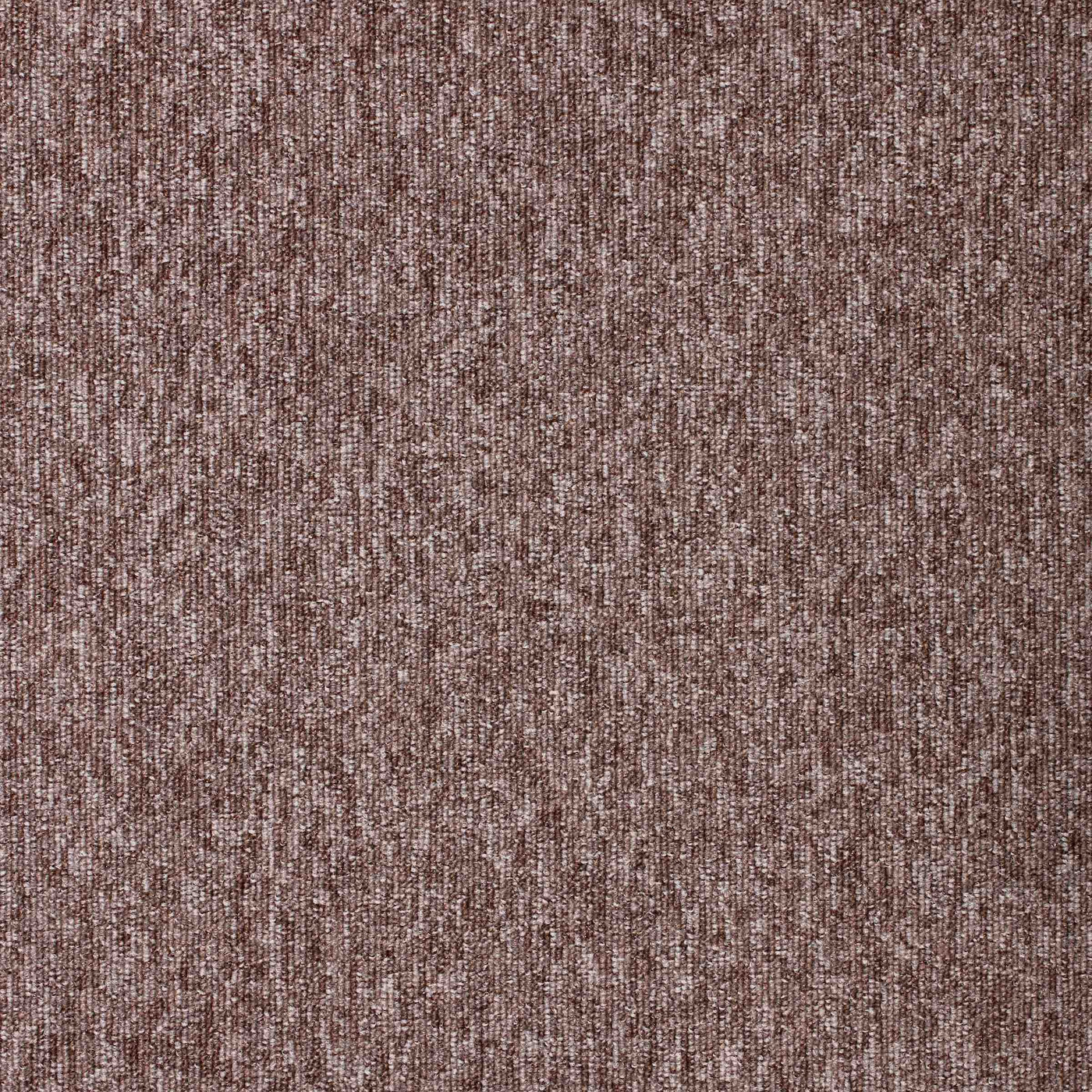 Paragon Carpets Diversity 500mm x 500mm Carpet Tile