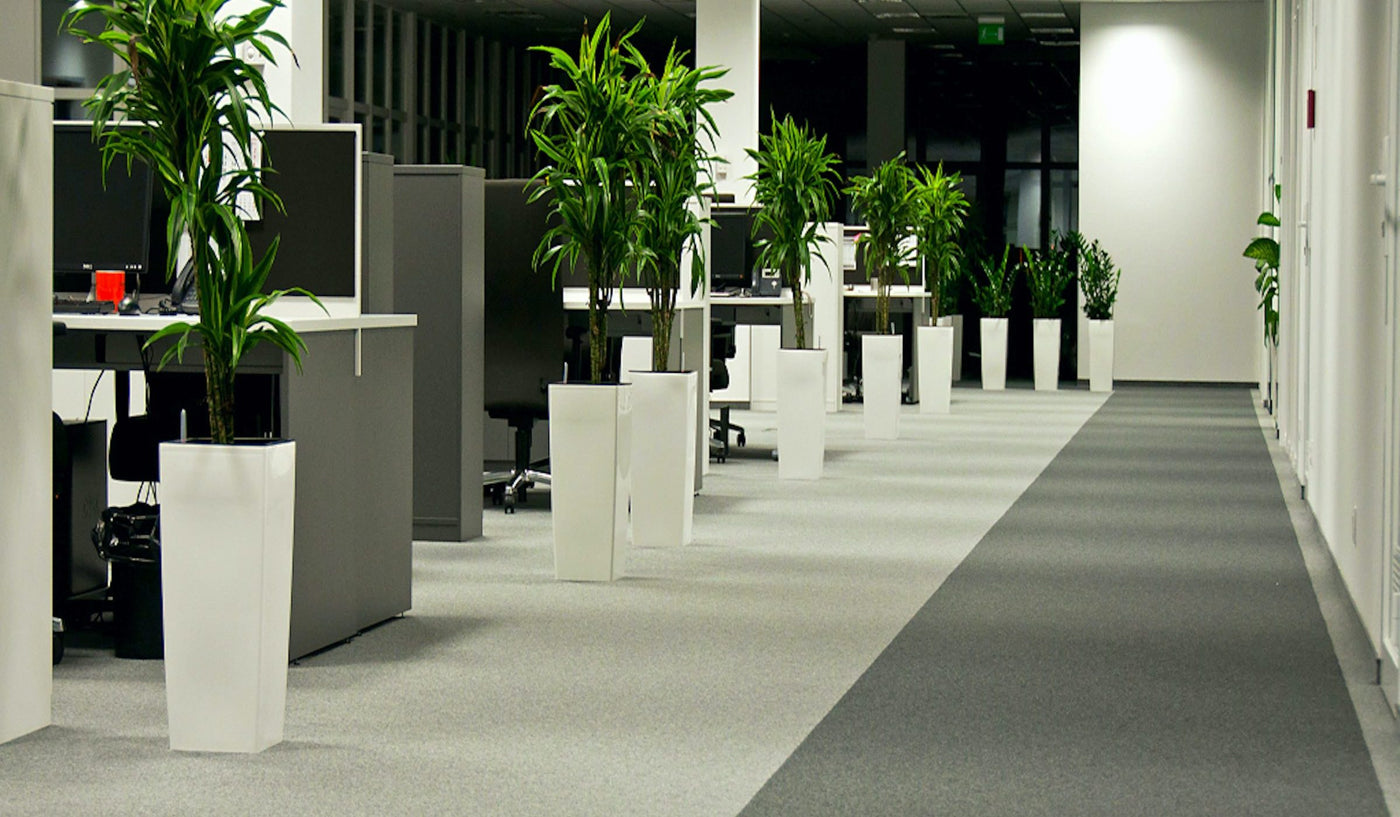 Paragon Carpets Diversity 500mm x 500mm Carpet Tile