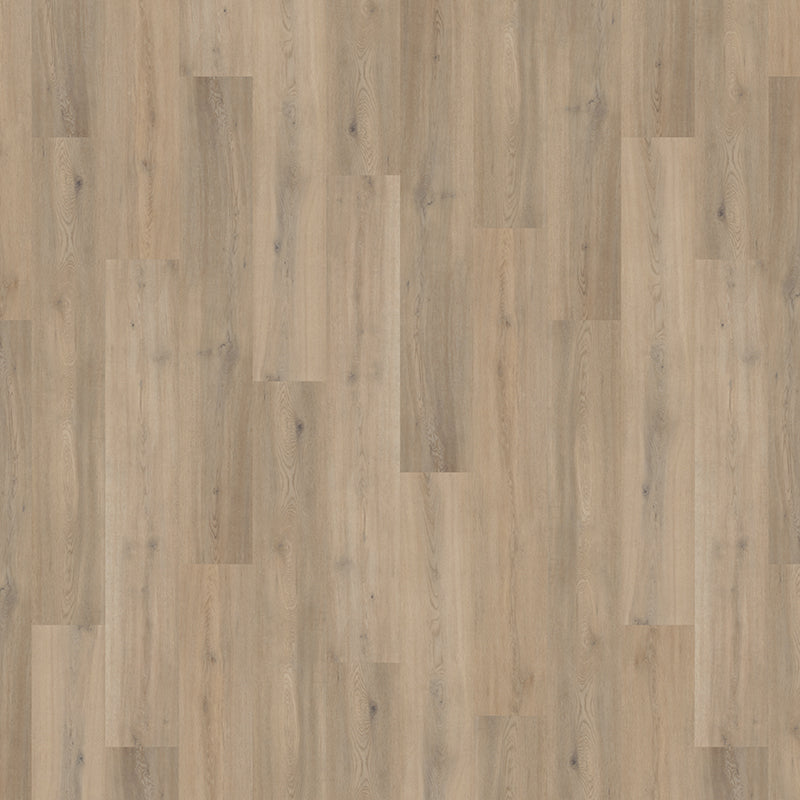 TLC Floors Massimo Micro Bevel 184.2mm x 1219.2mm Vinyl Plank