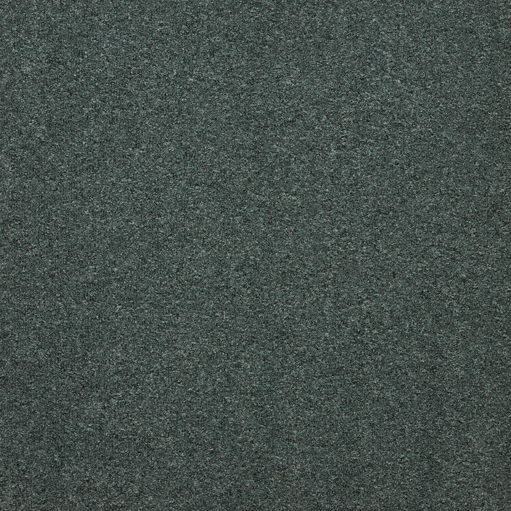 The Floor Hub Dahlia Cut 500mm x 500mm Carpet Tile