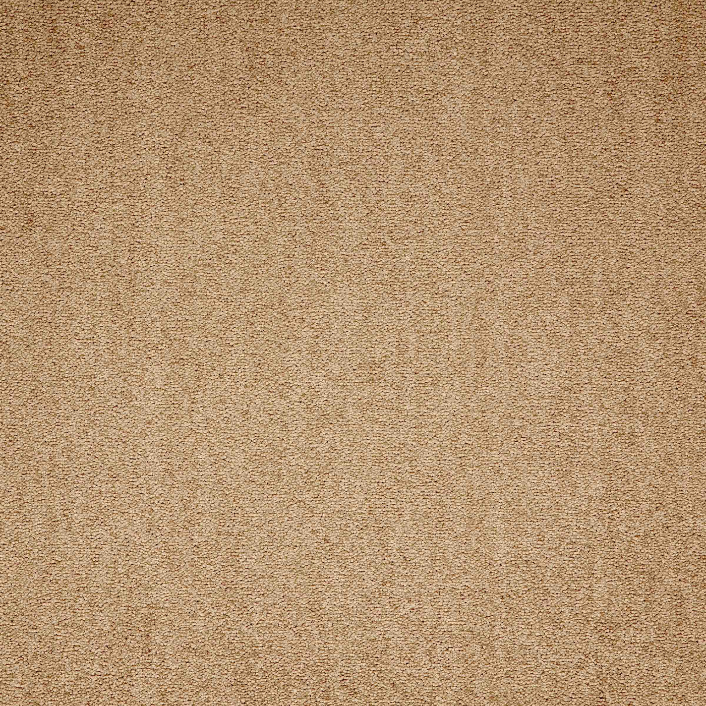 Paragon Carpets Maestro 500mm x 500mm Carpet Tile