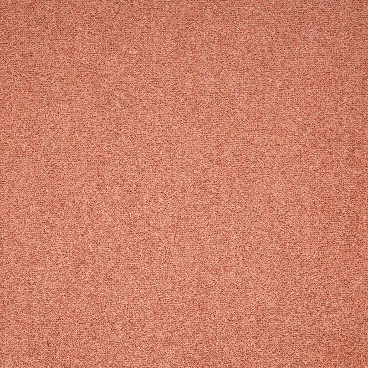 Paragon Carpets Maestro 500mm x 500mm Carpet Tile