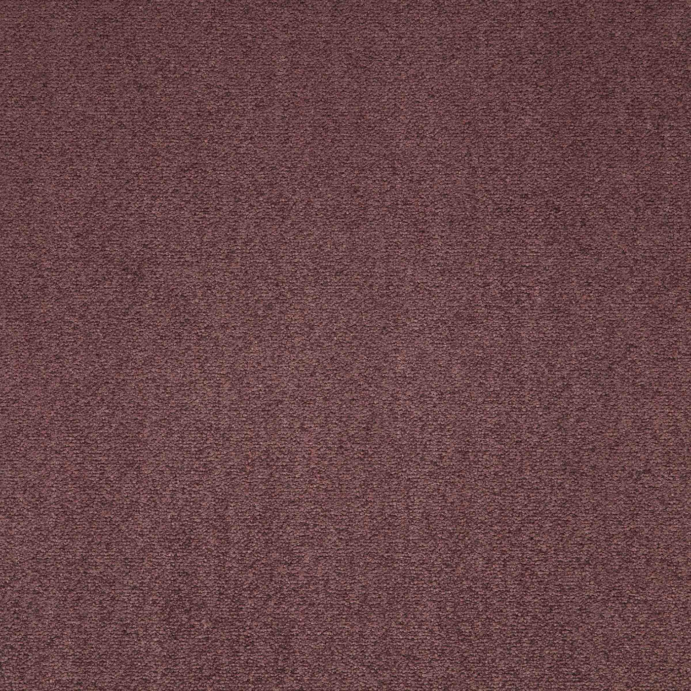 Paragon Carpets Maestro 500mm x 500mm Carpet Tile