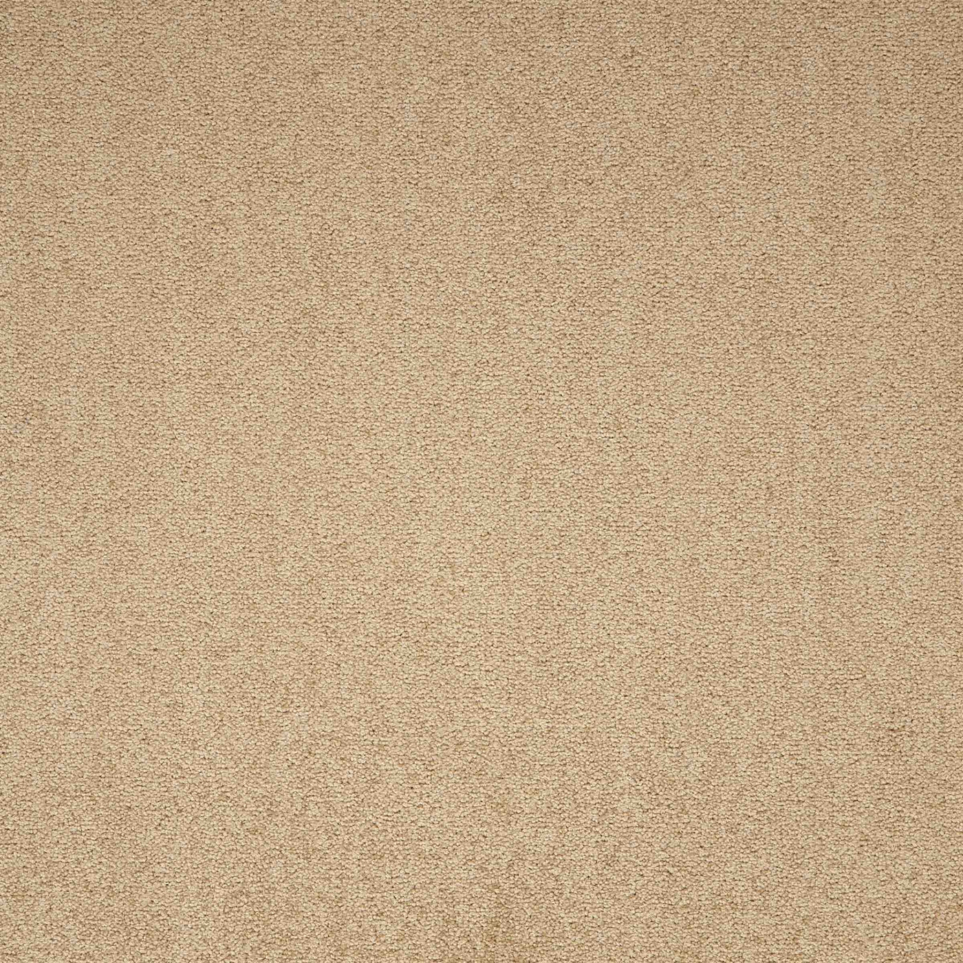 Paragon Carpets Maestro 500mm x 500mm Carpet Tile