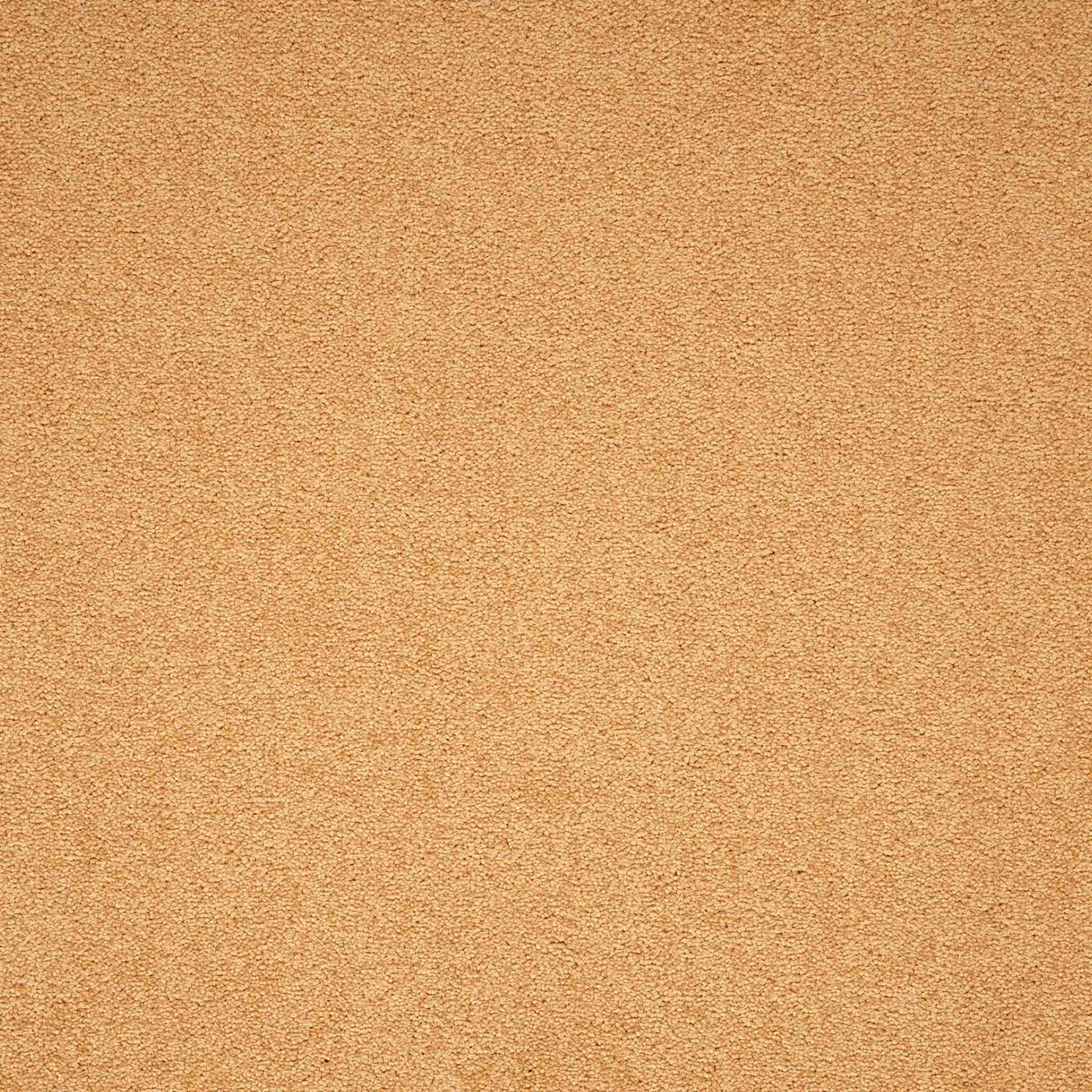 Paragon Carpets Maestro 500mm x 500mm Carpet Tile