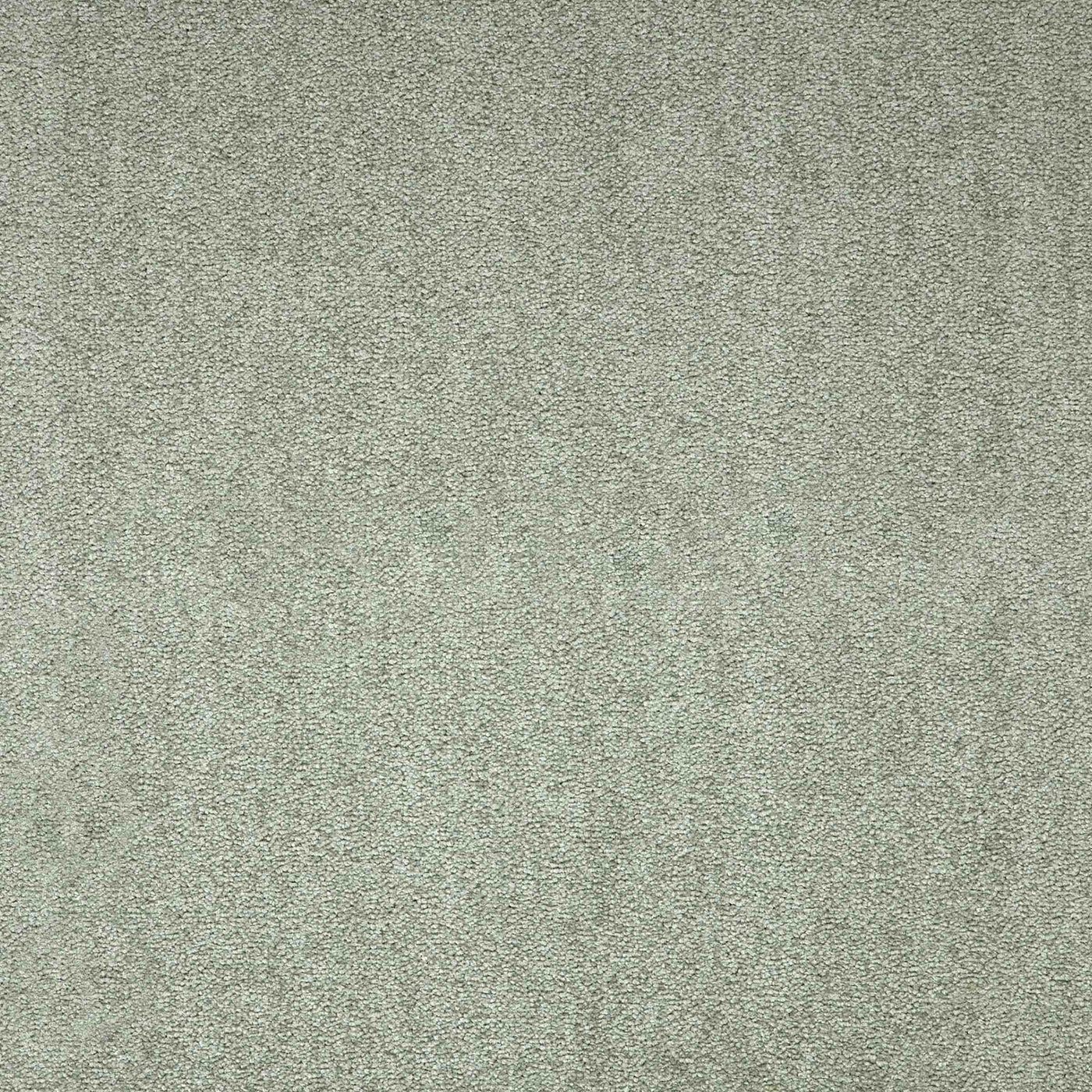 Paragon Carpets Maestro 500mm x 500mm Carpet Tile