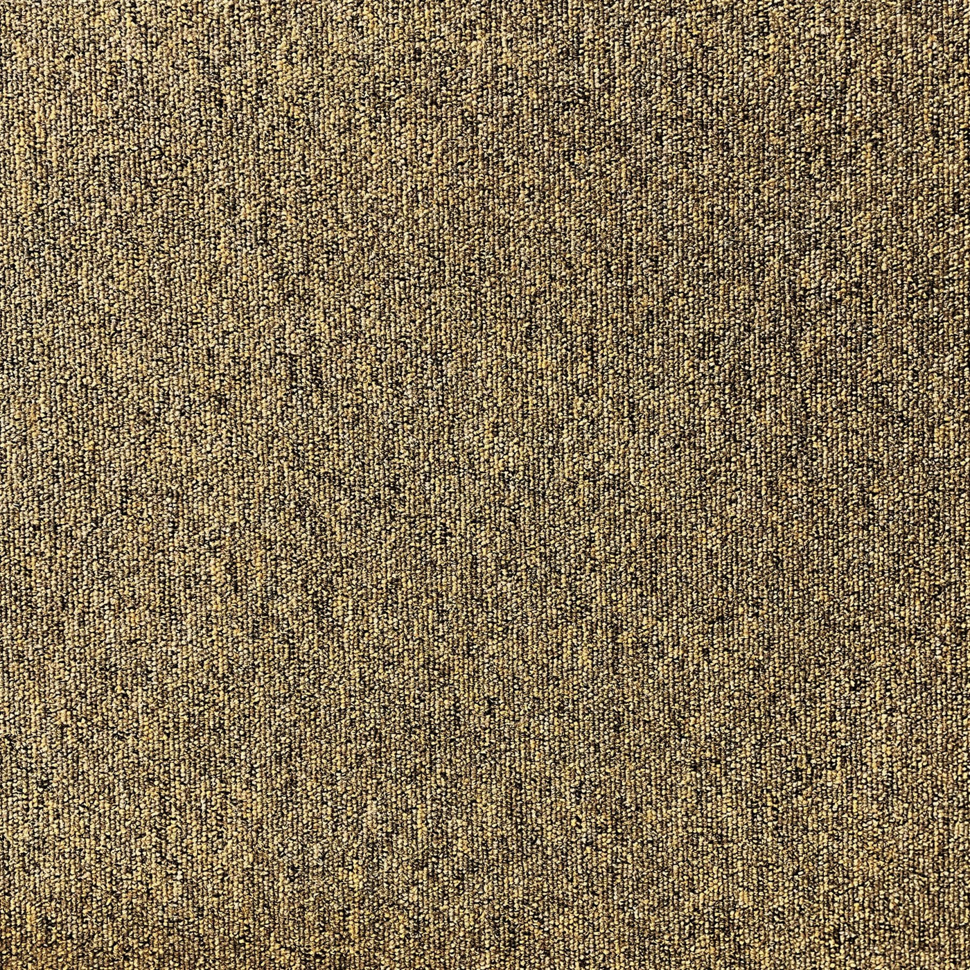 Paragon Carpets Vital 500mm x 500mm Carpet Tile