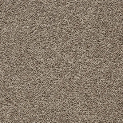 Manx Tomkinson Seasonal Views Supreme 5m x RL Carpet Roll