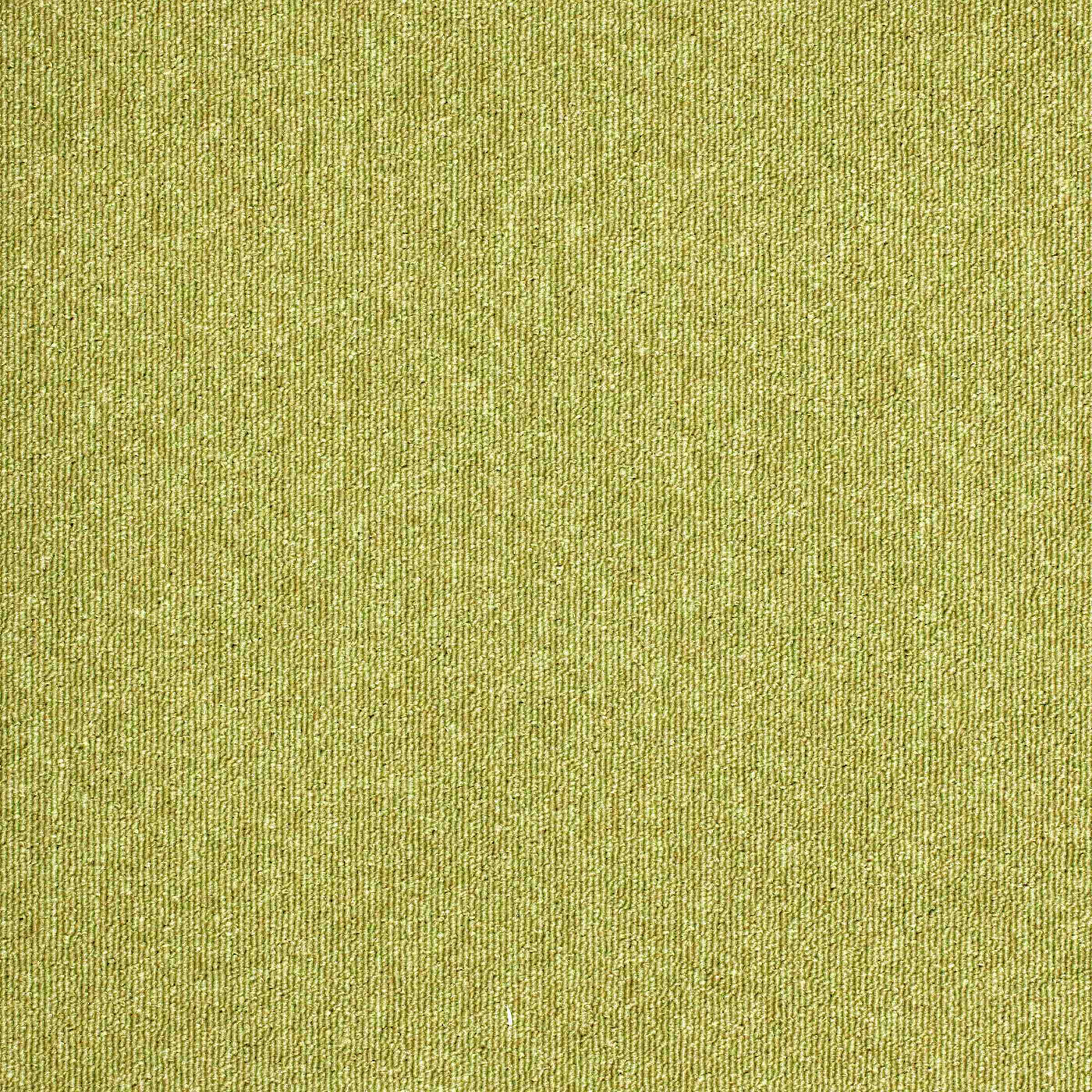 Paragon Carpets Sirocco 500mm x 500mm Carpet Tile