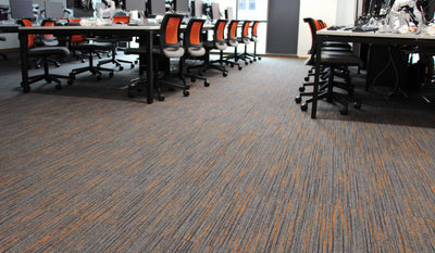 Paragon Carpets Strobe 500mm x 500mm Carpet Tile