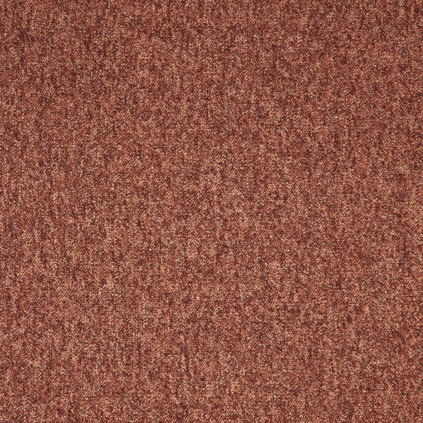 Paragon Carpets Toccarre 500mm x 500mm Carpet Tile