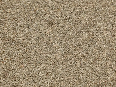 Manx Tomkinson Tomkinson Twist Deluxe 5m x RL Carpet Roll