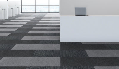 Paragon Carpets Vital 500mm x 500mm Carpet Tile