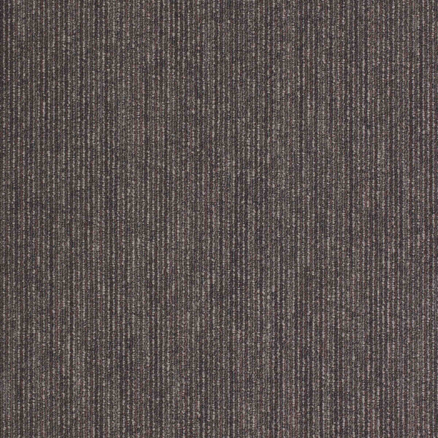 Paragon Carpets Workspace Linear 500mm x 500mm Carpet Tile