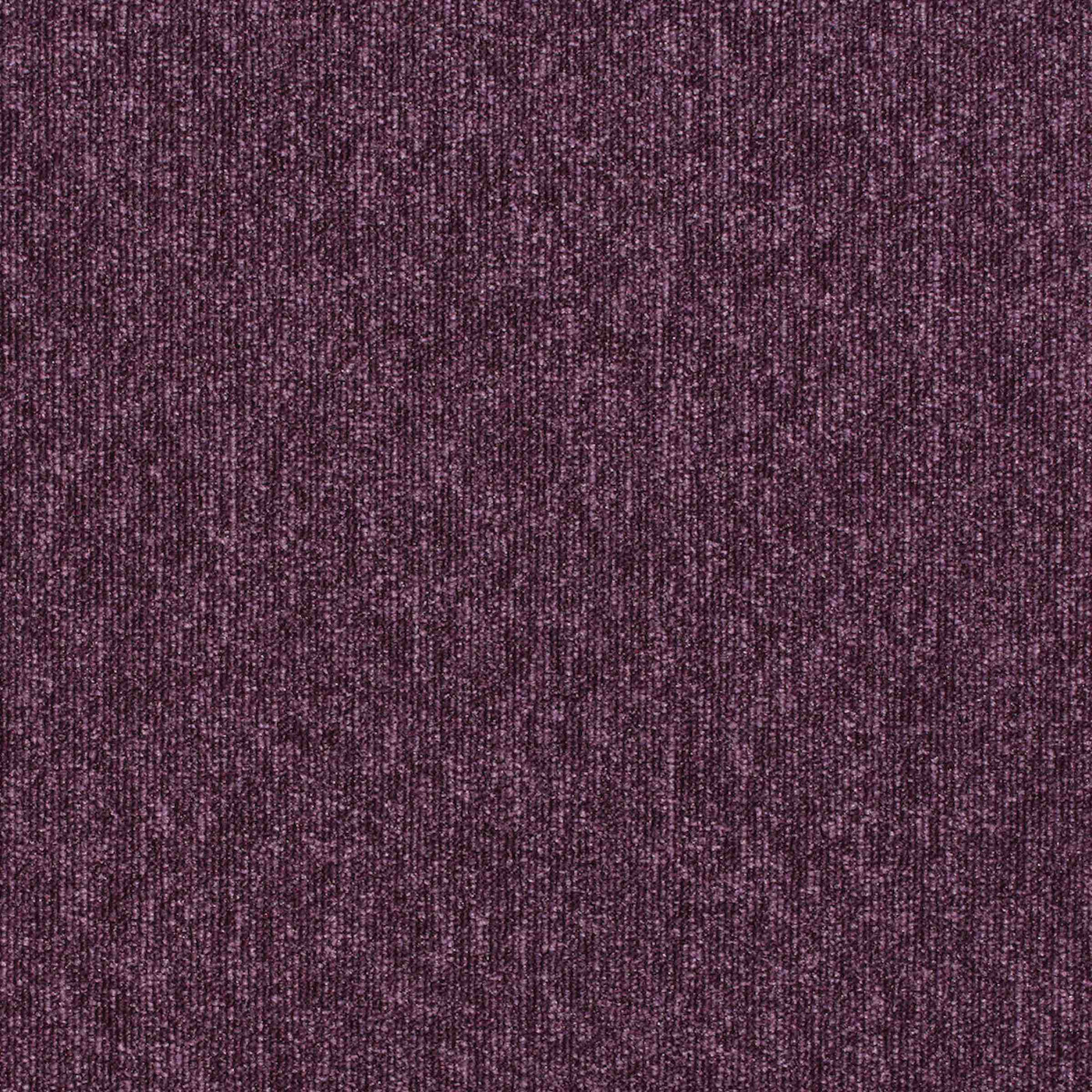 Paragon Carpets Workspace Loop 500mm x 500mm Carpet Tile