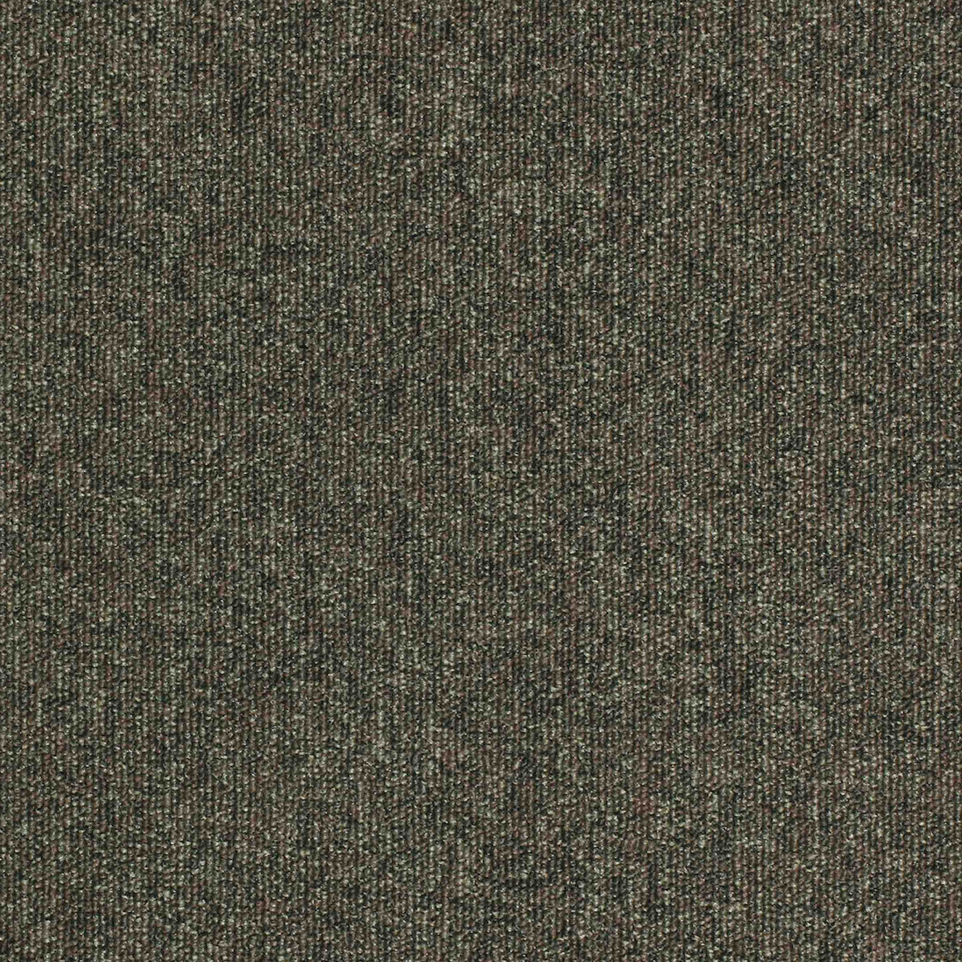 Paragon Carpets Workspace Loop 500mm x 500mm Carpet Tile