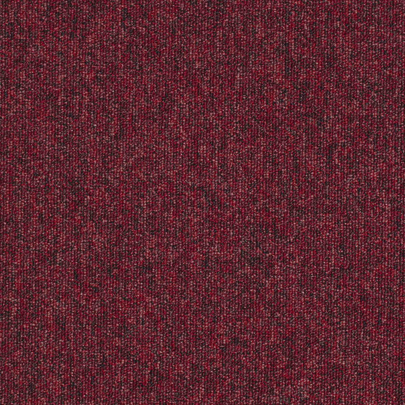 Paragon Carpets Workspace Loop 500mm x 500mm Carpet Tile