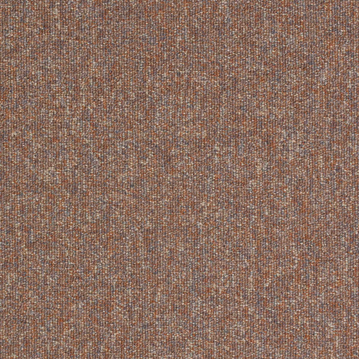 Paragon Carpets Workspace Loop 500mm x 500mm Carpet Tile