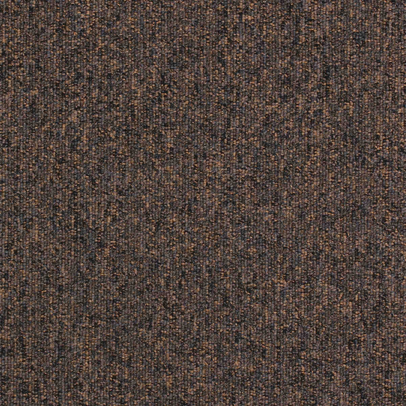 Paragon Carpets Workspace Loop 500mm x 500mm Carpet Tile