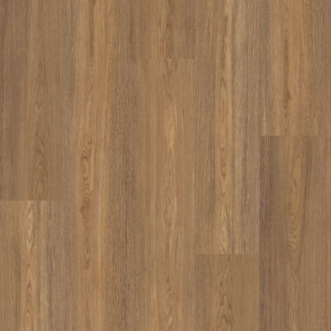Polyflor Expona Encore 196mm x 1212mm Vinyl Plank