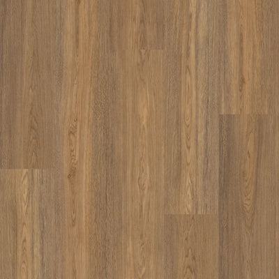Polyflor Expona Encore 196mm x 1212mm Vinyl Plank