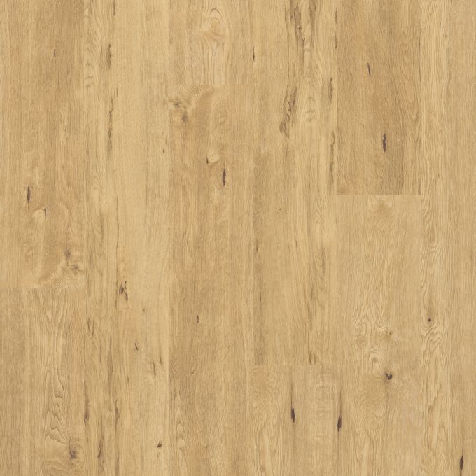 Polyflor Expona Encore 177mm x 1212mm Vinyl Plank