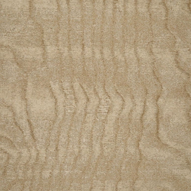 Brintons Timorous Beasties 4m x RL Carpet Roll