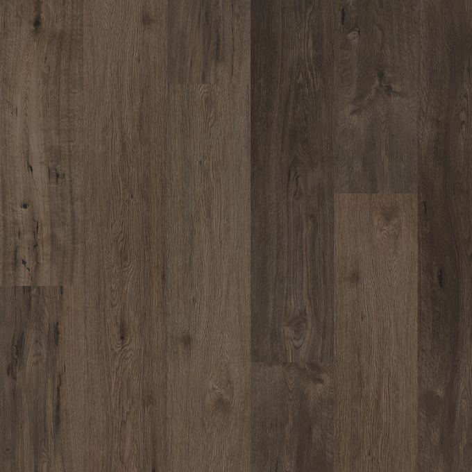Polyflor Expona Encore 177mm x 1212mm Vinyl Plank