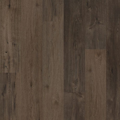 Polyflor Expona Encore 177mm x 1212mm Vinyl Plank