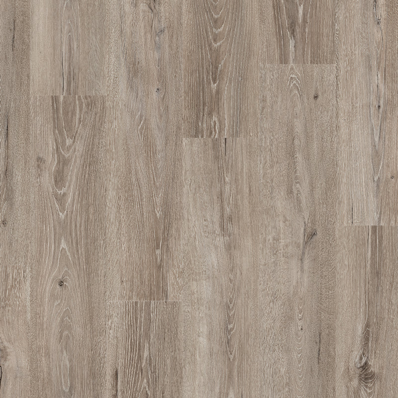 Everyroom Forest Trail 193mm x 1292mm Laminate Plank