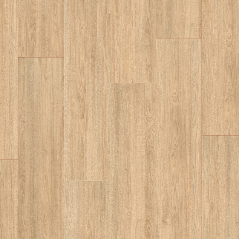 Everyroom Forest Trail 193mm x 1292mm Laminate Plank