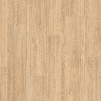 Everyroom Forest Trail 193mm x 1292mm Laminate Plank