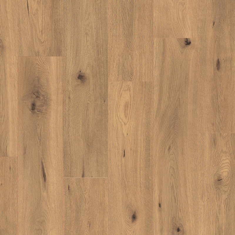 Everyroom Forest Trail 193mm x 1292mm Laminate Plank
