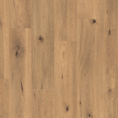 Everyroom Forest Trail 193mm x 1292mm Laminate Plank