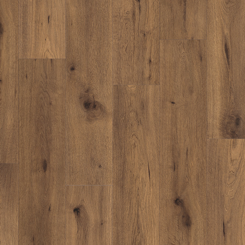 Everyroom Forest Trail 193mm x 1292mm Laminate Plank
