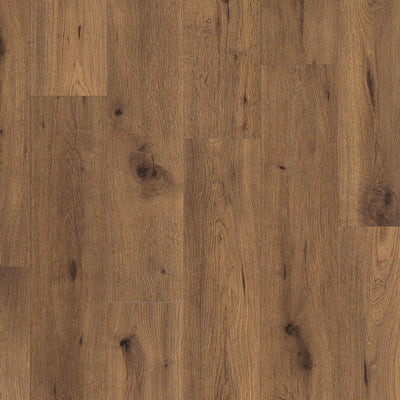 Everyroom Forest Trail 193mm x 1292mm Laminate Plank