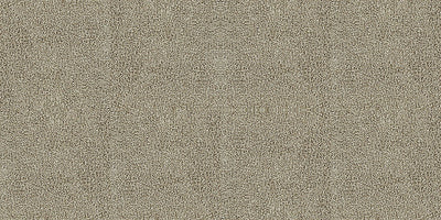 Interface Touch & Tones II 103 500mm x 500mm Carpet Tile