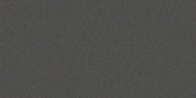 Interface On Line 250mm x 1000mm Carpet Tile