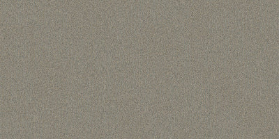 Interface On Line 250mm x 1000mm Carpet Tile