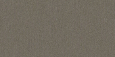 Interface On Line 250mm x 1000mm Carpet Tile