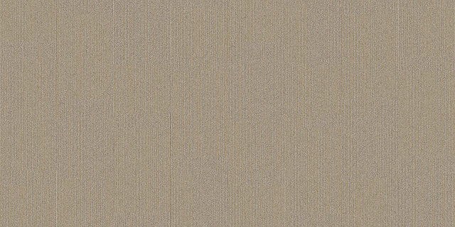 Interface On Line 250mm x 1000mm Carpet Tile