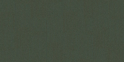 Interface On Line 250mm x 1000mm Carpet Tile