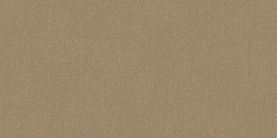 Interface On Line 250mm x 1000mm Carpet Tile